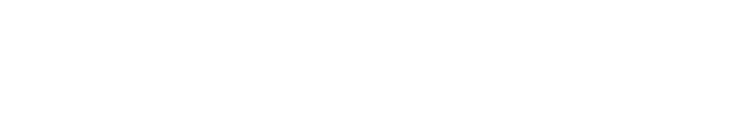 ALTRTUDE™ Logo
